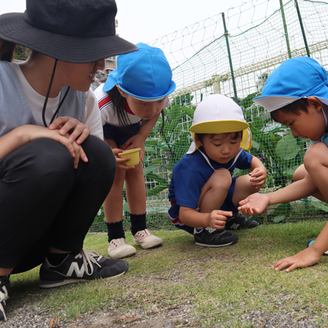幼稚園概要