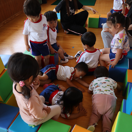 採用情報